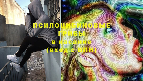 spice Семёнов